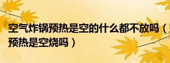 空气炸锅预热是空的什么都不放吗（空气炸锅预热是空烧吗）