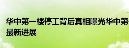 华中第一楼停工背后真相曝光华中第一楼停工最新进展