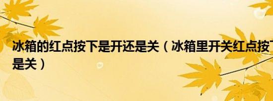 冰箱的红点按下是开还是关（冰箱里开关红点按下去是开还是关）