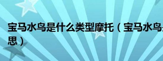 宝马水鸟是什么类型摩托（宝马水鸟是什么意思）