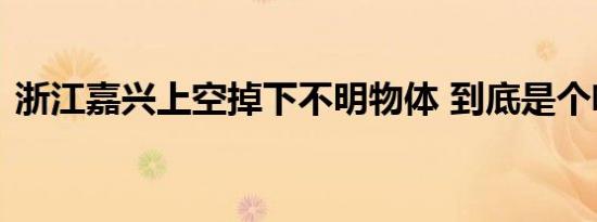 浙江嘉兴上空掉下不明物体 到底是个啥东西