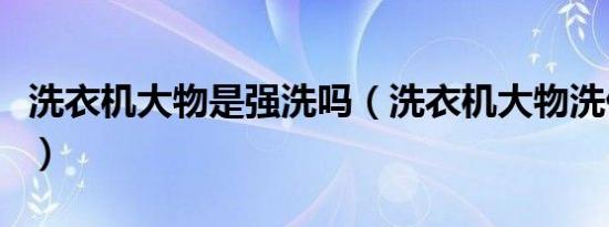 洗衣机大物是强洗吗（洗衣机大物洗什么意思）