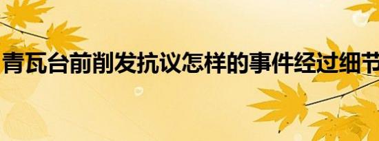 青瓦台前削发抗议怎样的事件经过细节是什么