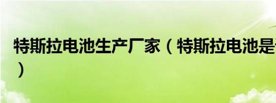 特斯拉电池生产厂家（特斯拉电池是谁生产的）