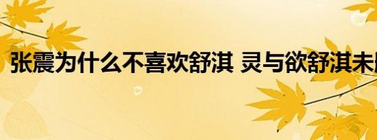 张震为什么不喜欢舒淇 灵与欲舒淇未删版图