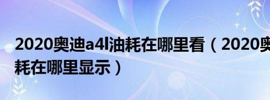 2020奥迪a4l油耗在哪里看（2020奥迪a4l油耗在哪里显示）