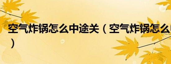 空气炸锅怎么中途关（空气炸锅怎么中途暂停）