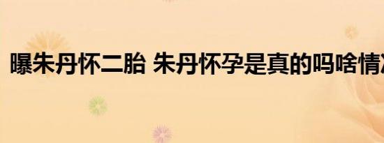 曝朱丹怀二胎 朱丹怀孕是真的吗啥情况(图）