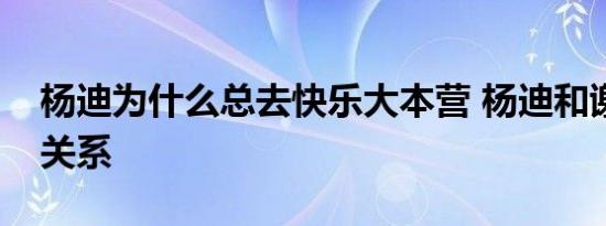 杨迪为什么总去快乐大本营 杨迪和谢娜什么关系