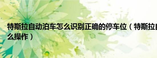 特斯拉自动泊车怎么识别正确的停车位（特斯拉自动泊车怎么操作）