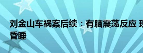刘金山车祸案后续：有脑震荡反应 现在还在昏睡