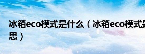 冰箱eco模式是什么（冰箱eco模式是什么意思）