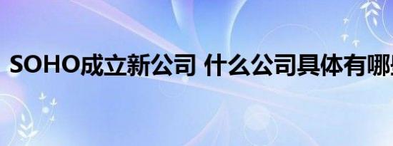 SOHO成立新公司 什么公司具体有哪些业务