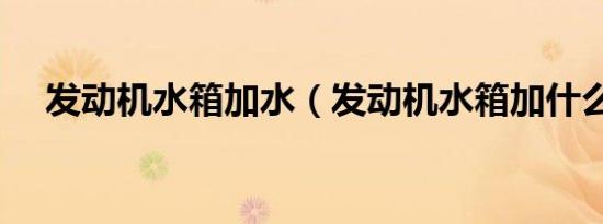 发动机水箱加水（发动机水箱加什么水）
