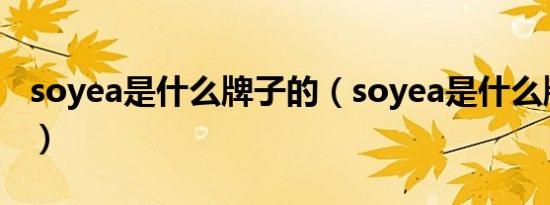 soyea是什么牌子的（soyea是什么牌子电视）
