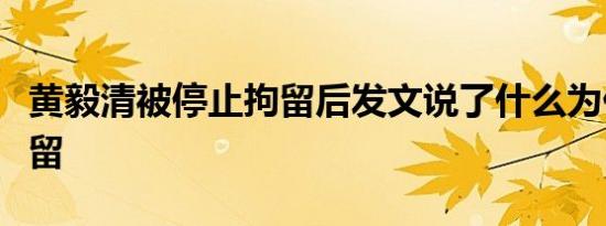 黄毅清被停止拘留后发文说了什么为什么被拘留