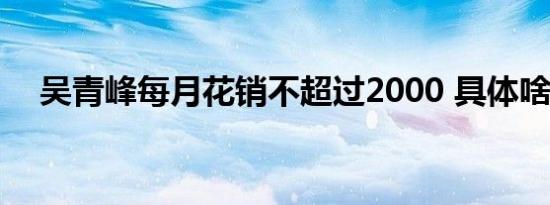 吴青峰每月花销不超过2000 具体啥情况