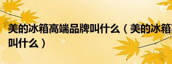 美的冰箱高端品牌叫什么（美的冰箱高端品牌叫什么）