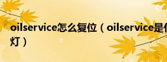 oilservice怎么复位（oilservice是什么故障灯）