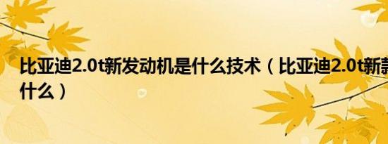 比亚迪2.0t新发动机是什么技术（比亚迪2.0t新款发动机是什么）