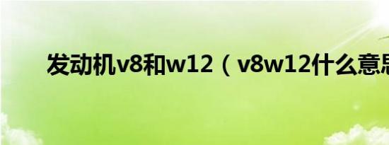 发动机v8和w12（v8w12什么意思）