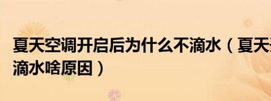 夏天空调开启后为什么不滴水（夏天开空调不滴水啥原因）
