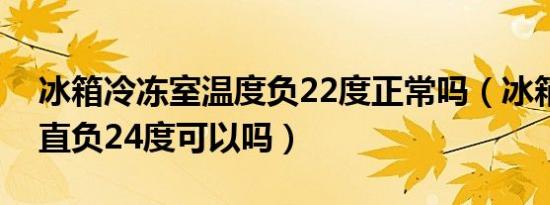 冰箱冷冻室温度负22度正常吗（冰箱冷冻一直负24度可以吗）