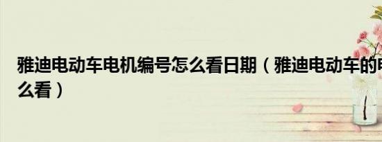 雅迪电动车电机编号怎么看日期（雅迪电动车的电机编号怎么看）
