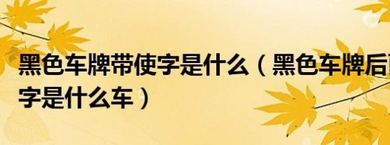 黑色车牌带使字是什么（黑色车牌后面有个使字是什么车）