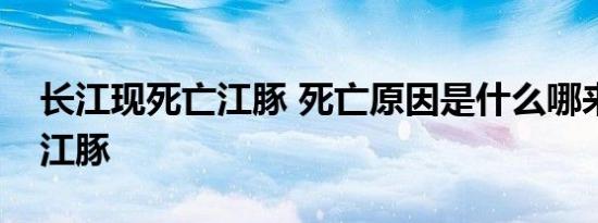 长江现死亡江豚 死亡原因是什么哪来的死亡江豚