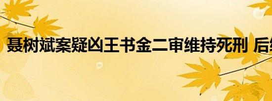聂树斌案疑凶王书金二审维持死刑 后续进展
