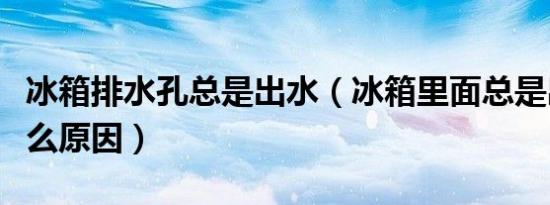冰箱排水孔总是出水（冰箱里面总是出水是什么原因）