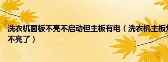 洗衣机面板不亮不启动但主板有电（洗衣机主板灯闪一下就不亮了）