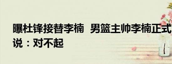 曝杜锋接替李楠 男篮主帅李楠正式“下课”说：对不起