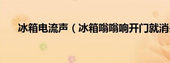 冰箱电流声（冰箱嗡嗡响开门就消失）