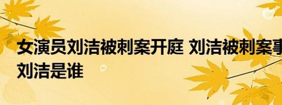 女演员刘洁被刺案开庭 刘洁被刺案事件回顾 刘洁是谁