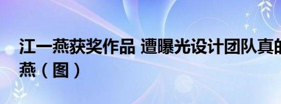 江一燕获奖作品 遭曝光设计团队真的有江一燕（图）