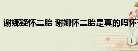 谢娜疑怀二胎 谢娜怀二胎是真的吗怀孕照片