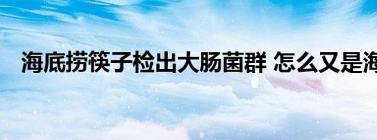 海底捞筷子检出大肠菌群 怎么又是海底捞