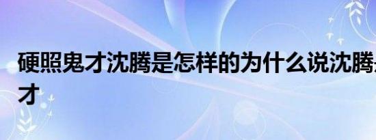硬照鬼才沈腾是怎样的为什么说沈腾是硬照鬼才