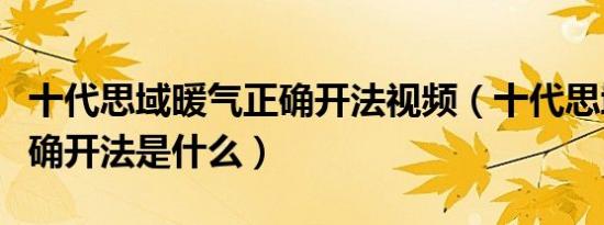 十代思域暖气正确开法视频（十代思域暖气正确开法是什么）