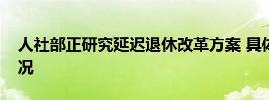 人社部正研究延迟退休改革方案 具体是啥情况