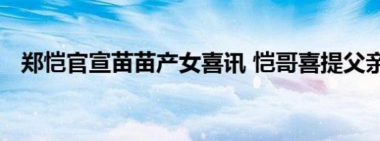 郑恺官宣苗苗产女喜讯 恺哥喜提父亲一枚
