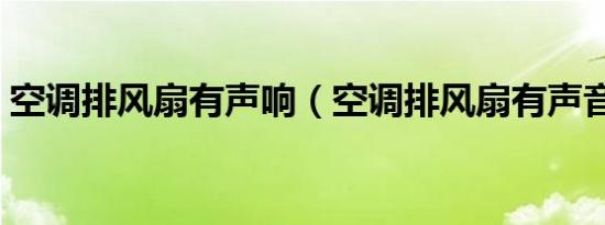 空调排风扇有声响（空调排风扇有声音很大）