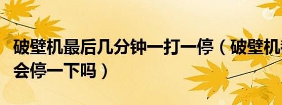 破壁机最后几分钟一打一停（破壁机都是打一会停一下吗）