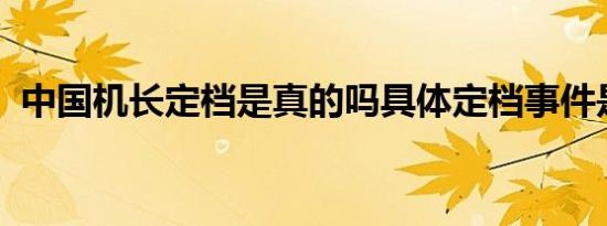 中国机长定档是真的吗具体定档事件是几时