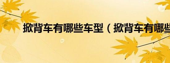 掀背车有哪些车型（掀背车有哪些）