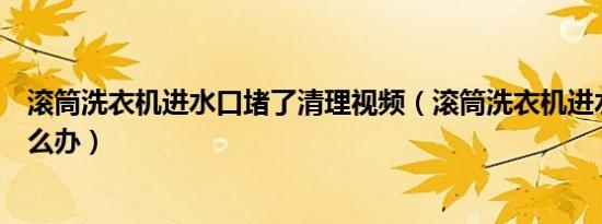 滚筒洗衣机进水口堵了清理视频（滚筒洗衣机进水口堵了怎么办）