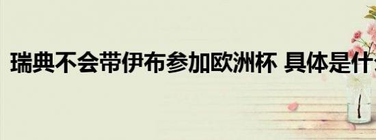 瑞典不会带伊布参加欧洲杯 具体是什么原因