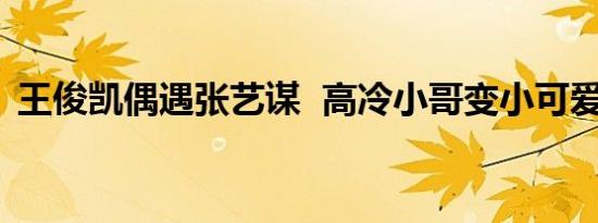 王俊凯偶遇张艺谋 高冷小哥变小可爱（图）